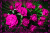 354078585.gif