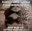 1619270071993.png