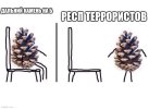 576plm.jpg