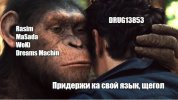 Снимок419.JPG