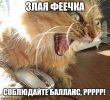 57f1om.jpg