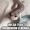 57h8fd.gif