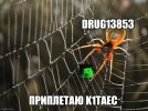 57kr21.jpg