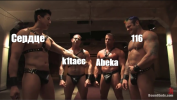 1619701543266.png
