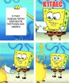 57q0r7.jpg