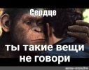F9E01D80-1E20-4B3A-8450-0002B55B5256.jpeg