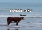 2021-05-02_23-34-03.png
