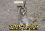 113728D8-2F2C-47E4-AE54-1860A4DBB148.jpeg