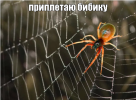 1620076176177.png