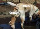 1620077944211.png