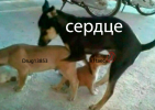 2021-05-04_01-41-06.png
