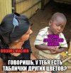 Без названия (7).jpeg