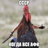 1620459908701.png