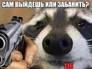 58qxhu.jpg