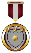 медаль1.png