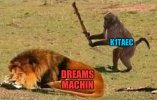 5b1l0h.jpg