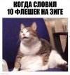 Без названия (1).jpeg