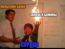 5fq8gx.jpg