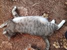 20201127_114332.jpg