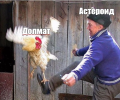 1628384581960.png