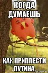 petuh-plyushevyy-priplesti-rashku_196524122_orig_.jpg