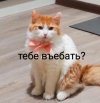 IMG_20210310_081351.jpg