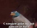 iF28V8oEUpY.jpg