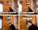 6ppuxk.jpg