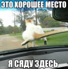 1661320064142.png