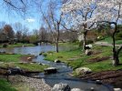Photos-of-spring-03.jpg