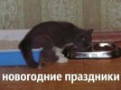 ммм.jpg