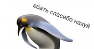 0f0d0599714d7cc1b660bf3df99b5981.jpg
