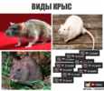 1691704273513.png
