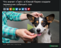 1695387642398.png