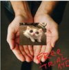 1698601065481.png
